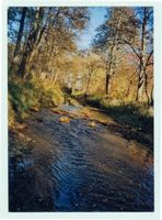 Schönlinde Kr. Gerdauen, Kreis Gerdauen 