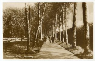 Cranz Kr. Samland, Ort, Kreis Samland Cranz, Birkenallee II 
