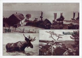 Nidden, Kreis Memel Nidden, Ortsansicht, Elch, Italienbick Nidden, Landschaft - Ostsee - Umgebung