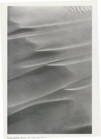  Kurische Nehrung, Feingeschliffene Formen des strömenden Windes Kurische Nehrung, Dünen, Sandstrukturen