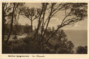 Georgenswalde, Kreis Samland Georgenswalde, Im Kurpark Samländische Steilküste