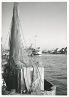 Pillau, Seestadt, Kreis Samland Pillau, Seestadt, Innenhafen mit Schiff  Seedienst Ostpreußen  II Seedienst Ostpreußen