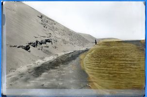  Kurisches Haff, Dünengebirge bei Cranz Kurisches Haff