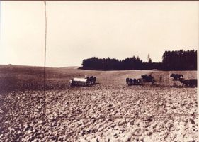  Ebenrode (Kreis), Gespanne bei der Feldarbeit am Schwarzen Wald Эбенроде (район), упряжки на полевых работах у Чёрного леса