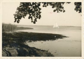  Am Löwentinsee bei Lötzen II у озера Лёвинтин у Лётцена, II