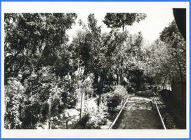 Brandenburg (Frisches Haff), Kreis Heiligenbeil Brandenburg, Garten ?? 