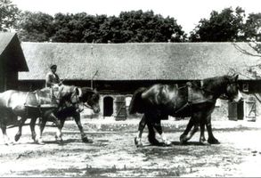 Wargienen Kr. Samland, Kreis Samland 