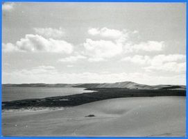  Kurische Nehrung, Dünenlandschaft IV 