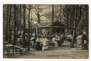 Cranz Kr. Samland, Ort, Kreis Samland Cranz, Waldhaus III 