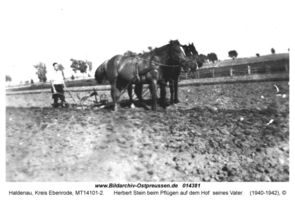 Haldenau (Ostpr.), Kreis Ebenrode 