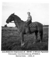 Peterswalde Kr. Elchniederung, Kreis Elchniederung 