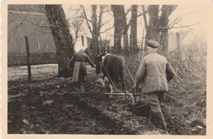 Grünhausen, Ort, Kreis Elchniederung 