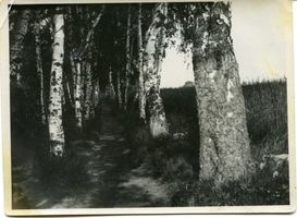 Warnicken, Kreis Samland 