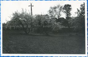  Ortelsburg (Kreis) ??, Häuser Ортельсбург (район) ??, дома