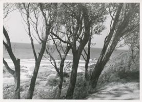 Palmnicken, Kreis Samland Palmnicken, Strand bei Palmnicken 