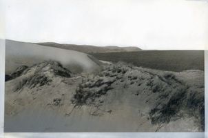  Kurische Nehrung, Wanderndes Dünengebirge Kurische Nehrung, Dünen