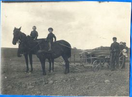 Reichenstein (Ostpr.), Kreis Lötzen Skoppen, Johanna, Hans und Arthur Czychi 