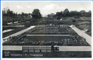 Königsberg (Pr.), Stadtkreis Königsberg Königsberg, Rosengarten VI Кёнигсберг, Розовый сад, VI