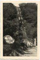 Groß Kuhren, Kreis Samland Groß Kuhren, Rosenleiter in der Rosenschlucht 