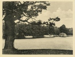 Niedersee, Kreis Sensburg Rudczanny, Dampferanlegestelle VII Рудчанны, пароходная пристань, VII