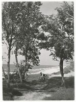 Palmnicken, Kreis Samland Palmnicken, Samlandküste bei Palmnicken Пальмниккен, самбийское побережье у Пальмниккен