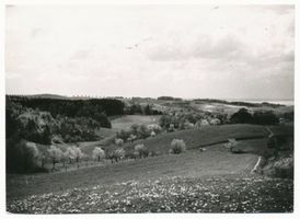  Krs. Elbing, Elbinger Höhe, Landschaftsbild Frische Nehrung - Frisches Haff
