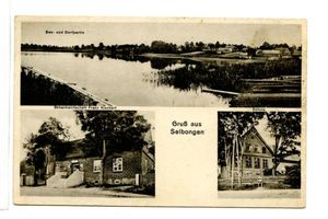 Selbongen, Kreis Sensburg Selbongen, See-und Ortsansicht, Schankwirtschaft Franz Riechert, Schule 