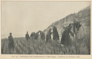 Mellneraggen, Kreis Memel Mellneraggen, Arbeiterinnen beim Sandgraspflanzen 