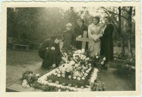 Wildwiese, Kreis Elchniederung 