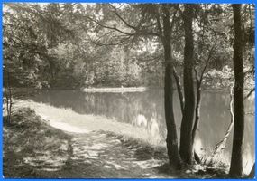 Lötzen, Stadt, Kreis Lötzen Lötzen, Karpfenteich im Stadtwald II 