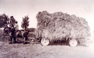 Waldau Kr. Samland, Ort, Kreis Samland 