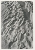  Kurische Nehrung, Dünen, Sandstrukturen, Wind und Feuchtigkeit formten hier den Sand Kurische Nehrung, Dünen, Sandstrukturen
