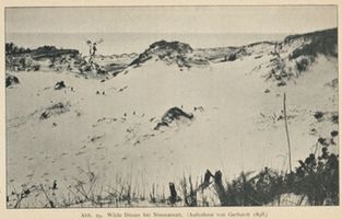 Nimmersatt, Kreis Memel Nimmersatt, Wilde Dünen Ниммерзатт, дикие дюны