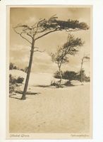 Cranz Kr. Samland, Ort, Kreis Samland 