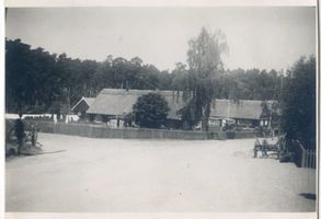 Rossitten Kr. Samland, Kreis Samland Rossitten Kr. Samland, Teilansicht Rossitten Kr. Samland, Ein Rundgang durch den Ort und die Umgebung