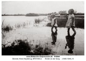 Skirwiet, Kreis Heydekrug 
