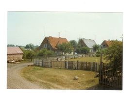 Schwedenfeld, Stadtkreis Tilsit Birkenweg Schwedenfeld, Blick vom Fuchsberg in den Birkenweg Шведенфельд, вид с Фуксберга на Биркенвег