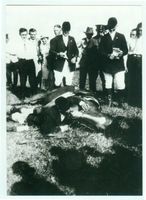 Grünhausen, Ort, Kreis Elchniederung 