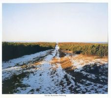  Kurische Nehrung, Winter Куршская коса, зима