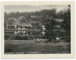Rauschen Kr. Samland, Kreis Samland Rauschen Kr. Samland, Teichpartie XI Раушен, район Самбия, вид у пруда, XI