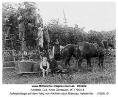 Arklitten, Gut, Kreis Gerdauen 