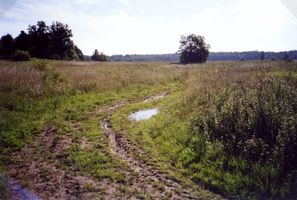Meisterfelde, Kreis Bartenstein Meisterfelde Kr. Bartenstein (Заречье), Zufahrt nach Meisterfelde und Umfahrt nach Klein Saalau 
