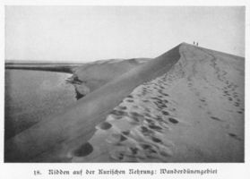Nidden, Kreis Memel Nidden, Auf der Wanderdüne bei Nidden II Kurische Nehrung, Dünen