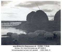 Grünau Kr. Elchniederung, Ort, Kreis Elchniederung 