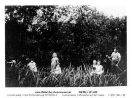 Kuckerneese, Ort, Kreis Elchniederung 