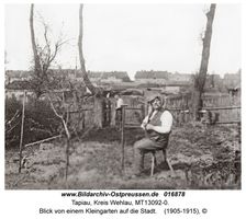 Tapiau, Kreis Wehlau 