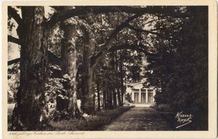 Steinort Kr. Angerburg, Ort, Kreis Angerburg Steinort Kr. Angerburg, Allee mit 1000jährigen Eichen II 
