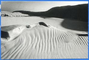  Kurische Nehrung Dünen 1993 