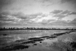 Friedrichsrode (Ostpr.), Kreis Labiau 