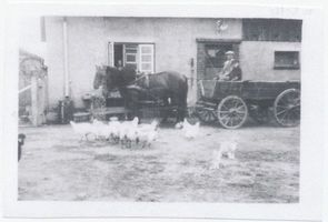Obrotten, Kreis Samland Obrotten, Bauernhof Muth, Hofseite 